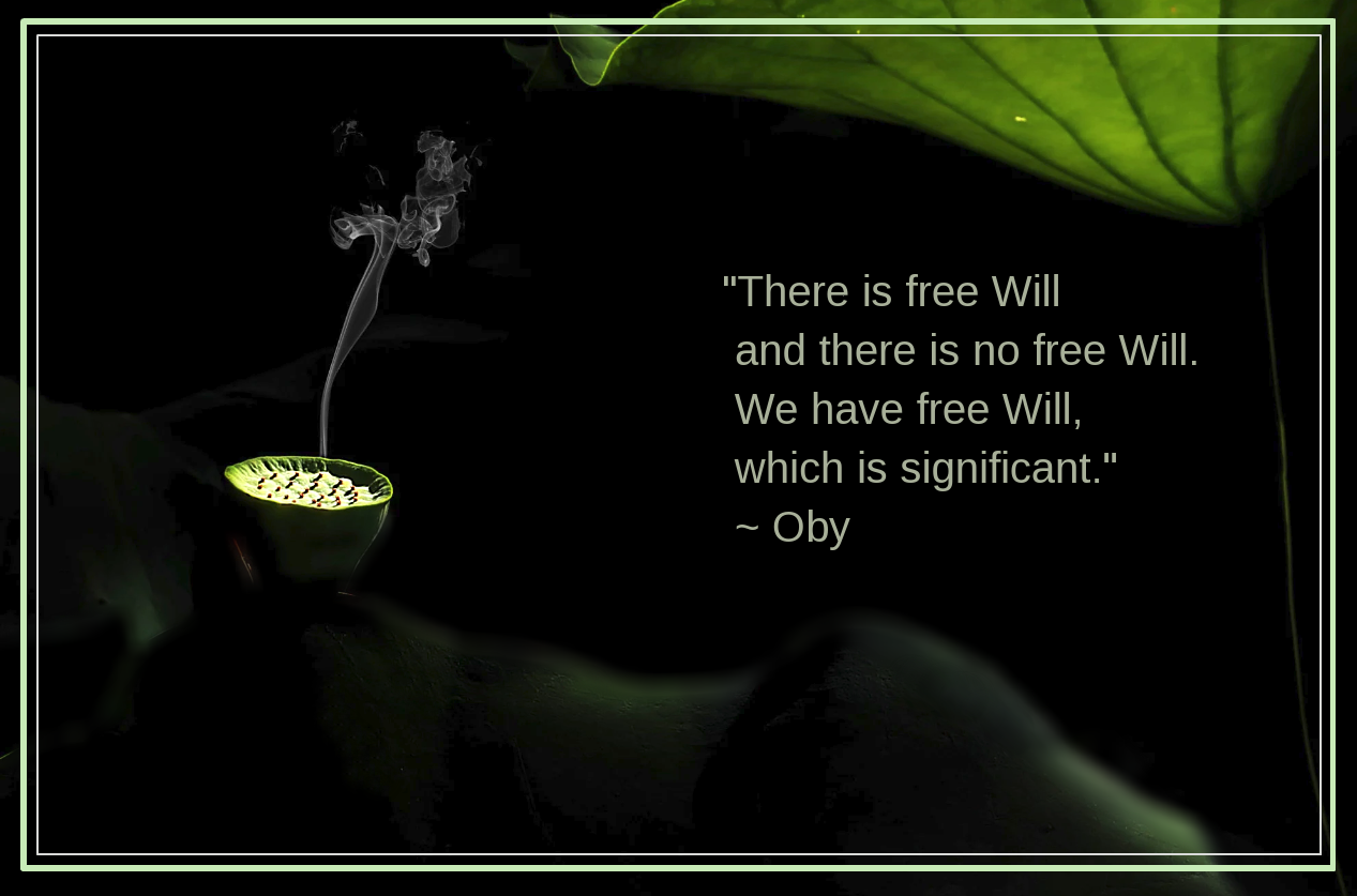 freeWill from Oby
